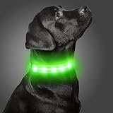 Dynmeow LED Airtag Dog Collar, USB Rechargeable Light up Dog Collar with Air Tag Holder Case for Nig