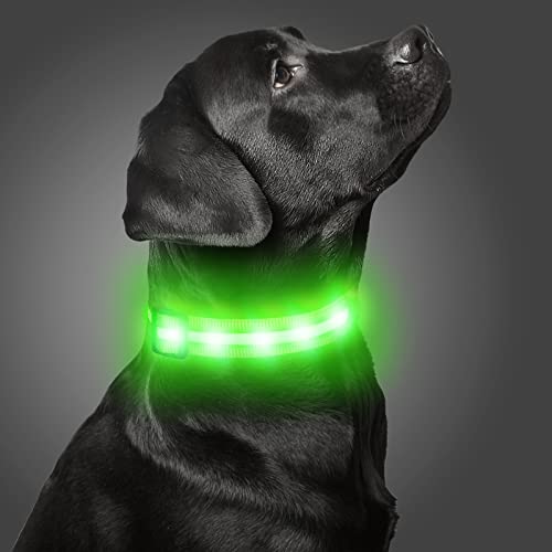 Dynmeow Led Airtag Dog Collar, Usb Rechargeable Light Up Dog Collar With Air Tag Holder Case For Night Safety, Waterproof Lighted Collar Glowing In The Dark For Large Dogs, Green #TOP7