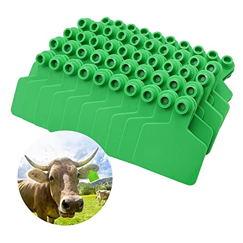 The Best Cattle Ear Tags To Buy Online D and T Custom Gunworks