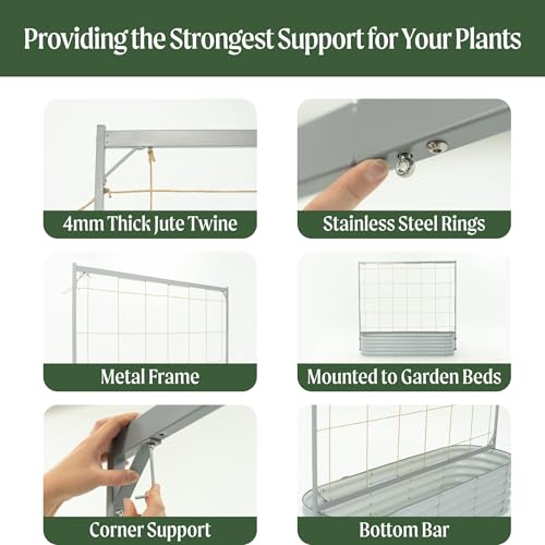 Vego Garden 6.5ft Long Tomato Metal Frame Trellis, Garden Trellis for Climbing Plants Like Cucumber Beans Tomatoes & Vines, (Garden Beds Not Included) by Vego garden - Image 5