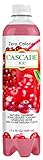 Cascade Ice Zero Cal Sparkling Water, Cranberry Pomegranate, 17.2 Fluid Ounce (Pack of 12)