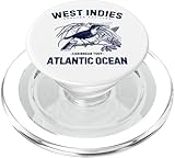 Photo Gallery souvenir dei caraibi degli uccelli tody delle antille occidentali popsockets popgrip per magsafe Photo Gallery souvenir dei caraibi degli uccelli tody delle antille occidentali popsockets popgrip per magsafe