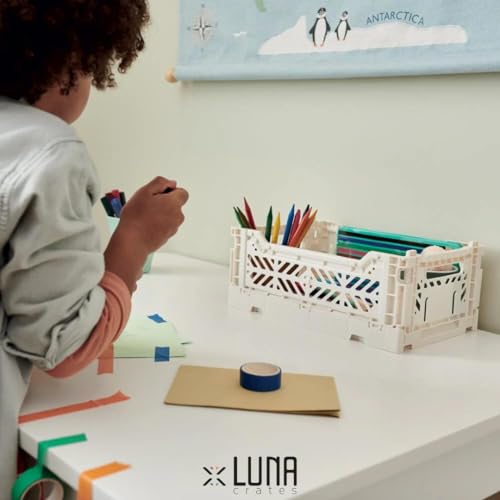 Luna Crates caixa de armazenamento dobrável, caixa organizadora de caixotes dobrável com alça, caixa