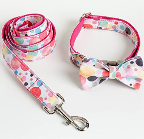 Laisse pour animaux et collier chic pour de belles promenades dominicales en famille