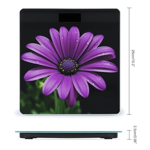 Purple Daisy Smart Body Weight Báscula Digital de Baño miniatura 2