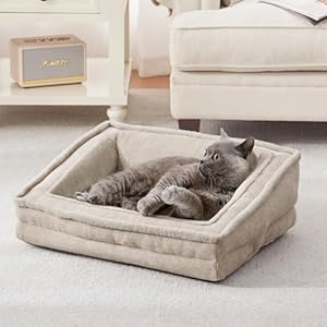 Cat Couch for Pets, Washable Cat Beds for Indoor Cats, Super Soft Plush Supportive Dog Couch Bed for Puppy and Kitten with Anti-Slip Bottom, 24inch, Beige