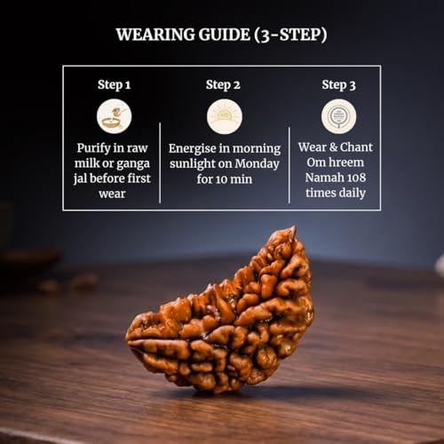 Image of Original 1 Mukhi Original Rudraksha Bead Nepali Origin Lab Certified Symbol of Lord Ganesha Removes Obstacles and Brings Wisdom Meditation, Pooja, Healing for Men & Women
