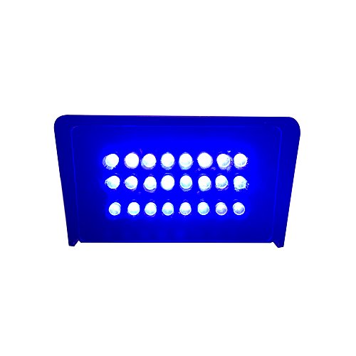 Led Blue Strobe Lights Dance Flash Strobe Lights Adjustable Speed Control Stage Light With Super Bright 24 Leds Flash Party Lighting Best For Christmas Clubs Effect Dj Disco Bars Parties Halloween #TOP5