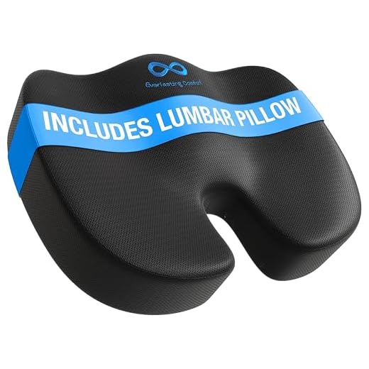 Everlasting Comfort Memory Foam Seat Cushion and Lumbar Back Cushion Combo - Gel Infused and Ventilated - Ergonomic Design for Coccyx and Tailbone - Perfect for Office Chairs and Car Seats