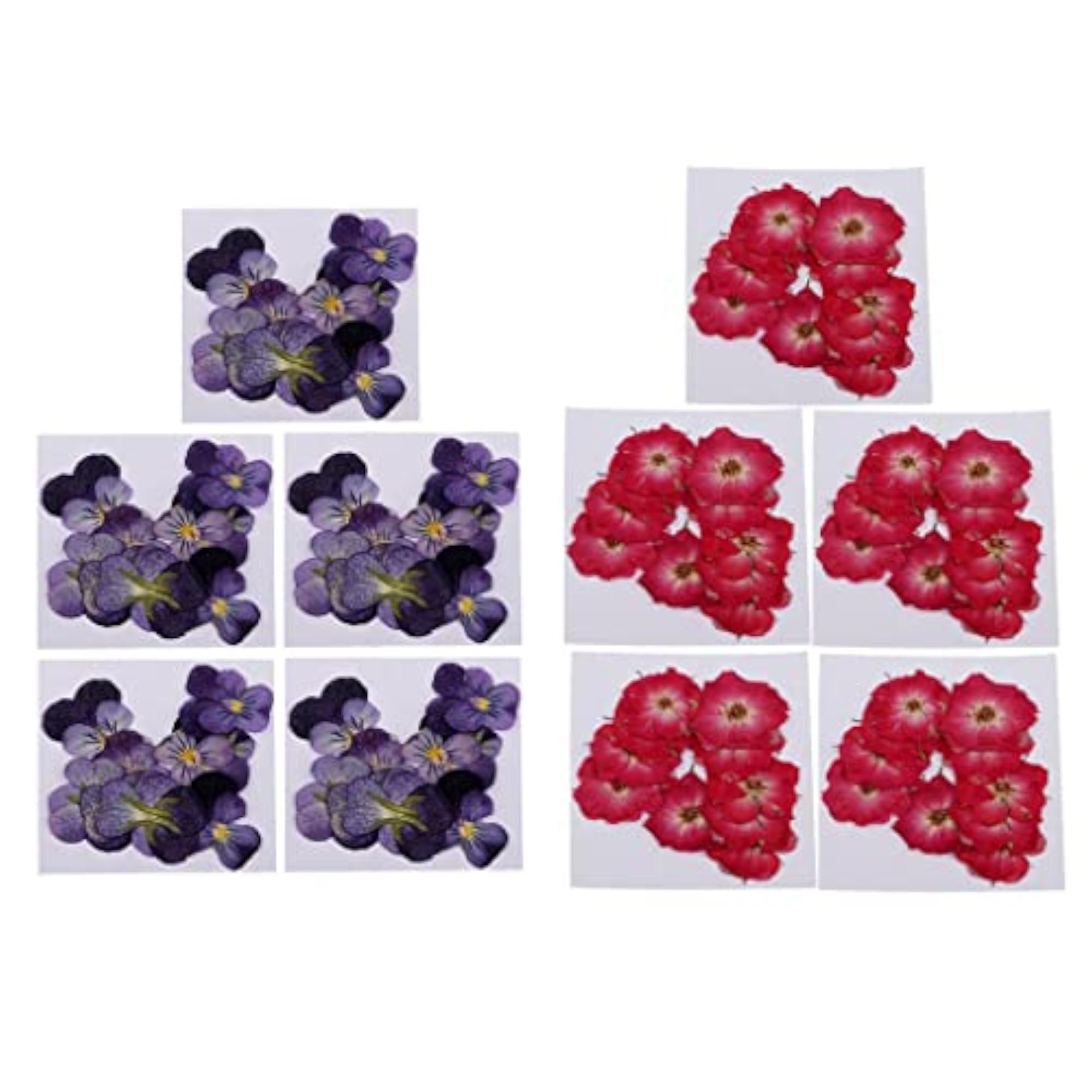 20 Pcs Dried Pressed Flowers for DIY Scrapbooking Crafts