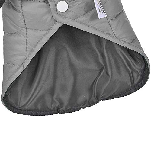 Manteau chiens contre la pluie veste hiver pour Chihuahua M