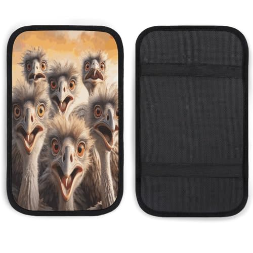 BTCOWZRV A Flock Of Ostriches Car Armrest Cover