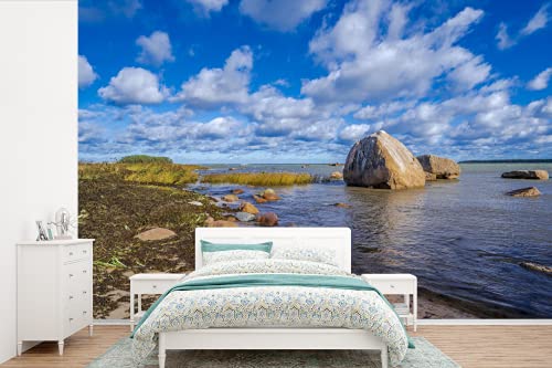 Kangnice Car Truck Wheel Tires Valves Extension Valves Stem Extenders Inflation Valves Stem Tool Straight Extension