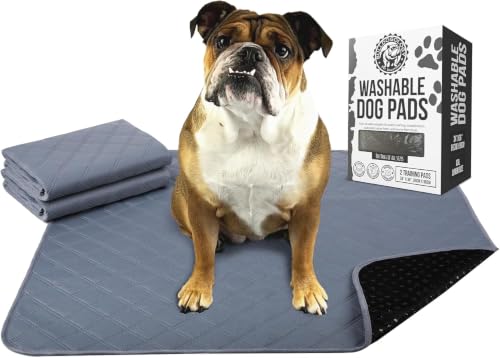 Image of Bulldogology Premium Washable Pee Pads for Dogs, Reusable Puppy Pads, Waterproof Dog Mat, Dog Training Pads (30x36) 2-Pack