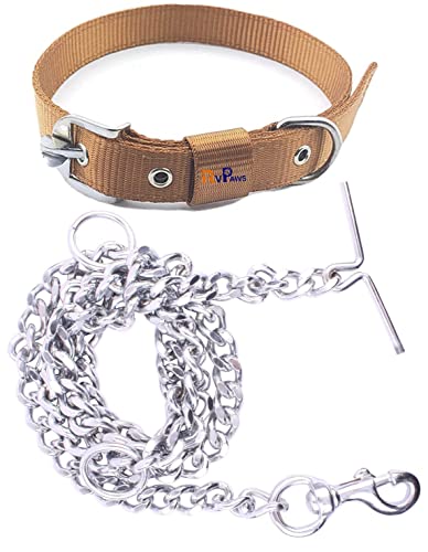 Combo Nylon Dog Belt - 1 Inch Collar with Heavy Dog Chain 63 Inch Lengthy Dog Collar Chain Adjustable (Collar Neck Size 16-20 Inch) (Golden)