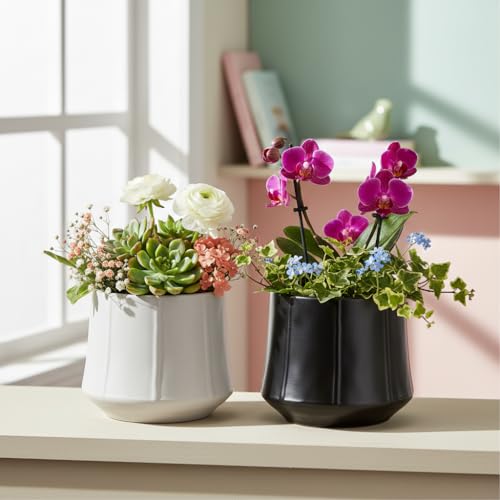 Image of Xtore 2 Pc Elegant Matte Black Ceramic Planter Pot for Indoor Plants & Tabletop Styling | Modern Minimal Desk, Shelf & Living Room Decor (Black & Grey, Planters only)