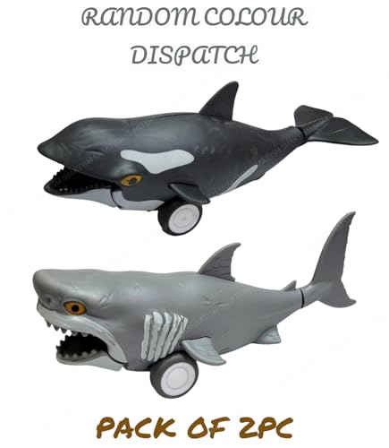 Image of SHAKTISM Ocean Life Pull Back Marine Animals Toy Featuring Megalodon, Orca, Dolphin and Humpback Whale Random Colour Dispatch 2Pc