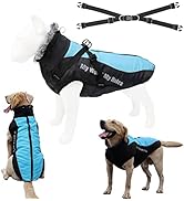 Tineer Warme Winter Hundejacke mit abnehmbarem Geschirr-Outfit, wasserdichter reflektierender Hun...