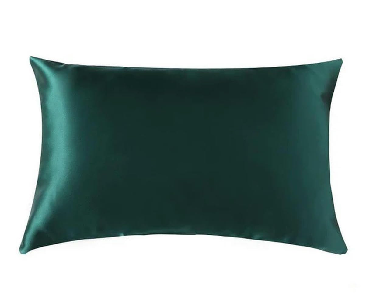 Funda de Almohada de Seda Pura con Cremallera, 25MM, 1 Unidad, Funda de Almohada de Seda Natural de Morera, Funda de Almohada Individual