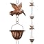 Bronze-Hummingbird