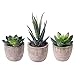 Décorations de mariage de jardin 3 morceaux de succulentes artificielles Mini plantes décoratives de bonsaï artificielles de bonsai artificiels Polyvalent, pratique, à la mode, haut de gamme
