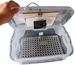 Chocadeira Compacta Com Controle De Temperatura automático capacidade para 30 Ovos de Galinha ou 90 ovos de codorna