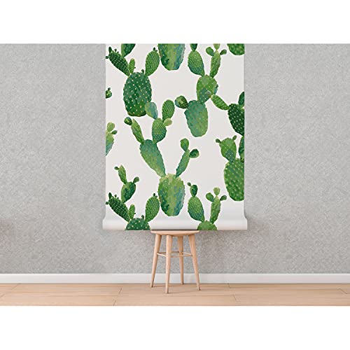 Fotomurale cactus natural para tapar imperfecciones de pared grandes 5