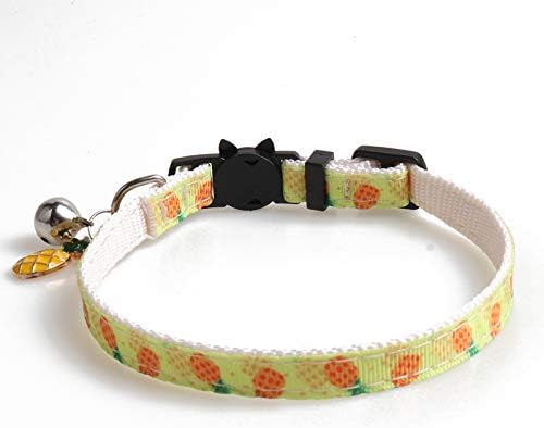 Bbrand Dog Collar Genuine Leather Adjustable Pet Collar for Large,Medium,Small,Dogs