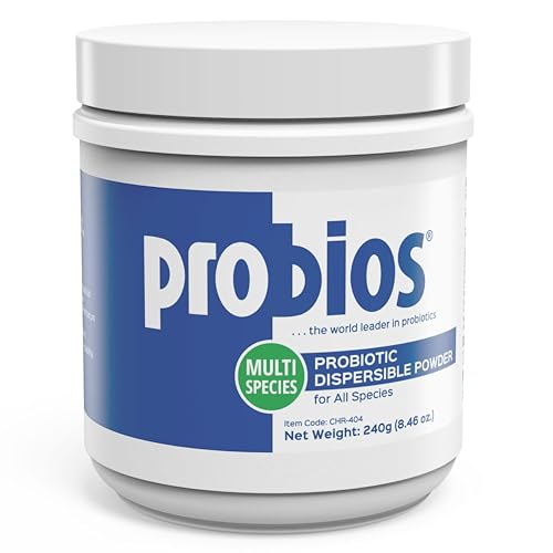 Probios Digestive Support Probiotic for All Species, Probiotics for Gut Health, Dispersible Powder, 240 gm