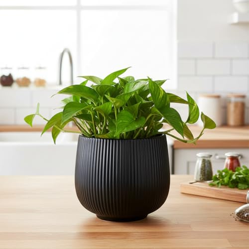 Image of Xtore Sleek Ribbed Black Planter Pot for Indoor Plants | Modern Textured Flower Pot for Home & Office Decor, Tabletop & Shelf Styling (Black, 14 cm x 13.5cm)