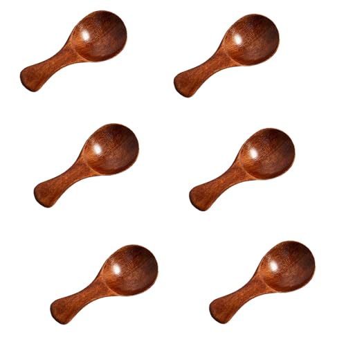6 PCS Mini Wooden Spoons, 3.2 Inch Tiny Spoons for