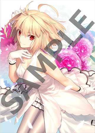 月姫 アニメイト特典 武内崇氏描き下ろしオリジナルイラスト A4アクリルパネル Amazon.co.jp: 月姫 -A piece of blue glass moon- アニメイト