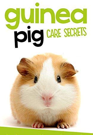 Image of Pet Care International (PCI) Supplement for Hamster (Alfa Pellet 400Grm)