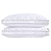 Amazon Brand - Umi Cuscini in Piuma D'Oca Set di 2, 10% con Motivo Trapuntato, Rivestimento in Cotone 100%, Supporto Facile 46x66x5cm
