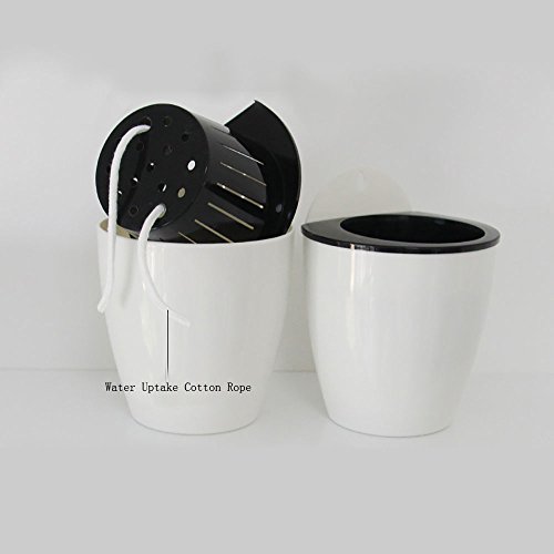 Sungmor Self Watering Wall Planter - Modern White & 3Pc Pack & Small Size - Indoor Outdoor Vertical Flower Pot - Wall Mounted Window Hanging Pot - Water Storage Space Design Container #TOP7