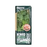 Groots | Pack Cilantro Fresco | 20 g | Condimento Ideal para tus Recetas | Diurético | Rico en Vitaminas C y K | Cultivo Vertical sin Tierra | Hierba Aromática | Sin Pesticidas