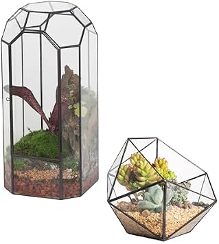 NCYP Glass Terrarium - Closed Tall Plant Terrarium with Door, and Bowl Shape Opened Terrarium for Small Succulent Cacti, Ferns, Indoor Garden Office Decor No Plants