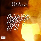 Wise Mcmagneto Of Split Problems