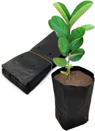 Image of Plant Bags for Home Garden - (5 inch X 7 inch / 200 Pcs) Poly Nursery Bags for Plants Specially Designed to Grow Bags for Leafy Vegetables, Fruit Seeds, Child Seeds & Much More