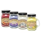Our Own Candle Company 4 Pack Spring Assortment Mini Mason Jar Candles - 3.5 Oz Coconut Banana, Himalayan Sea Salt, Lilac, Strawberry Melon