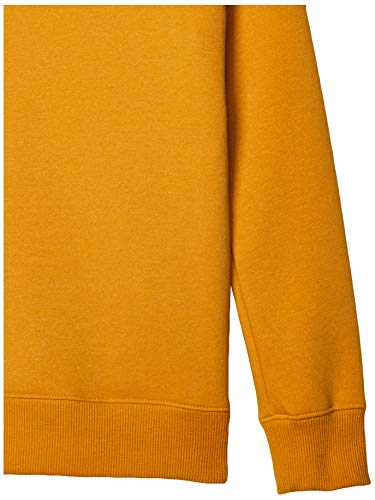 Image of Amazon Essentials Girls and Toddlers' Relaxed Fit Fleece Crewneck Pullover Sweatshirts, Pack of 2