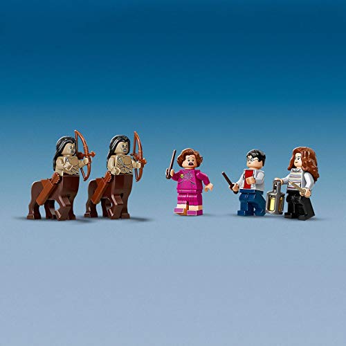 LEGO 75967 Harry Potter TM Bosque Prohibido: El Engaño de Umbridge