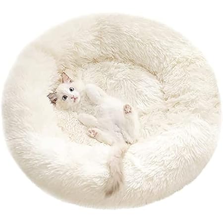 marshmallow cat bed amazon