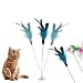 Katze Spielzeug Cat Toy Katzen Zauberstab Cat Treat Spielzeug Katzenfeder Spielzeug Katze Spielzeug Bälle Katze Ballspielzeug Feather