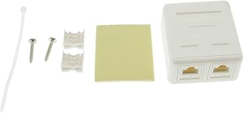Amazon.com: Beszin 2 Port Cat.6 Keystone Jack Surface Mount Box