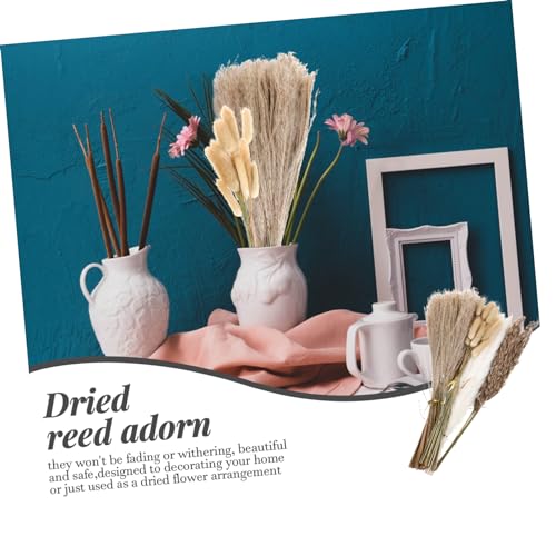 Ramo de flores secas decorativas Alipis para hogar miniatura 6
