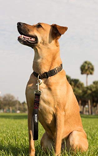 Leashboss Short Dog Leash for Dog Training | Padded Traffic Handle Short Leash for Dog Training, Total Comfort When Dog… - Image 4