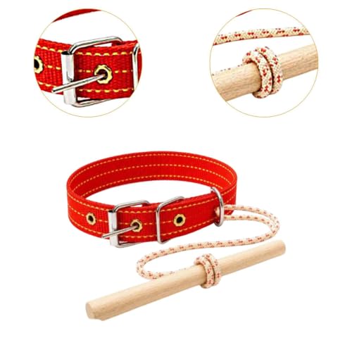 Herramienta entrenamiento antitirones para perros Colcolo con barra de madera ligera 3