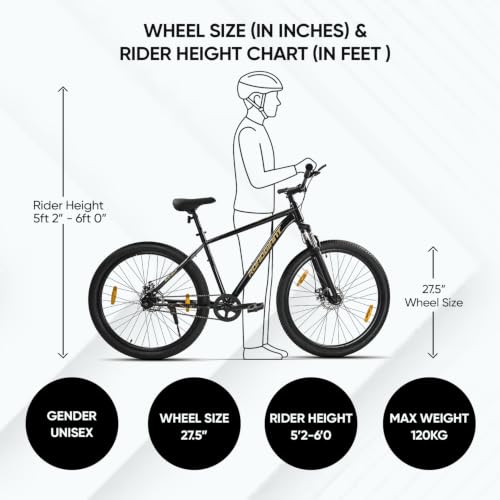 Image of ROADGIANT Squad BlackGold 27.5T | MTB | Steel Bicycle | Dual Disc Brakes | Single Speed | Front Suspension | Unisex|for All-Terrain Riding (Z Black)