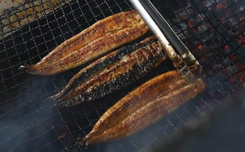 [錦江町ふるさと納税]No.1023-1 きめいかん うなぎ(A)